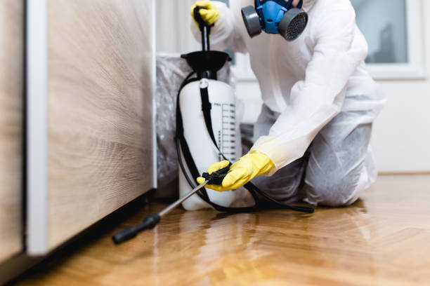 Best Emergency Pest Control  in West Perrine, FL
