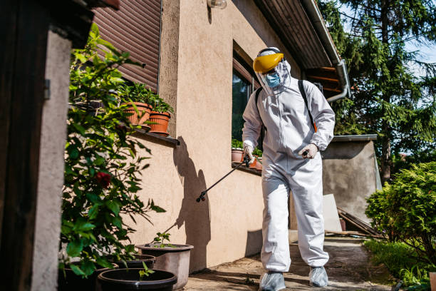 Best Emergency Pest Control  in West Perrine, FL
