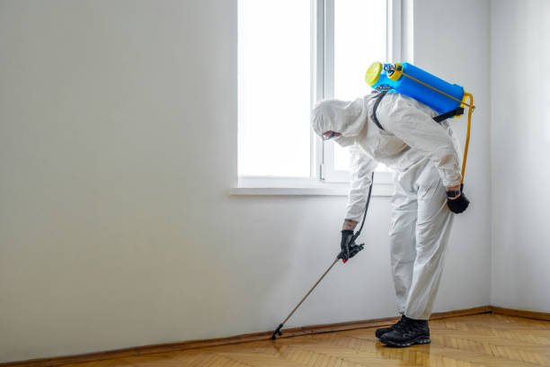 Best Best Pest Control Companies  in West Perrine, FL