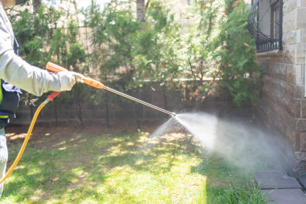 Best Pest Removal Services  in West Perrine, FL