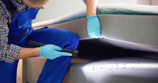 Reliable West Perrine, FL Pest Control Solutions