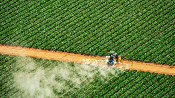 Best Pest Control Near Me in West Perrine, FL