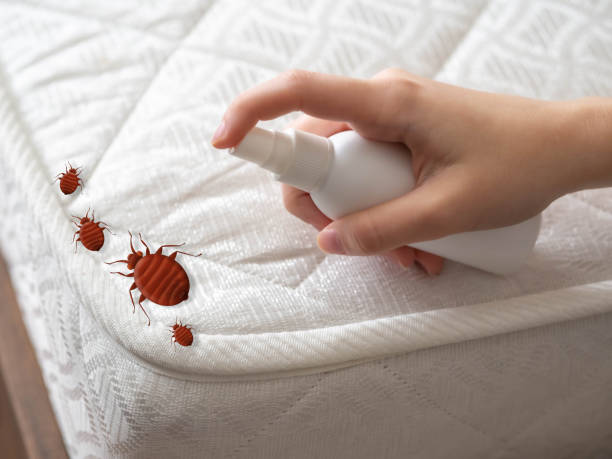 Best Bed Bug Extermination  in West Perrine, FL