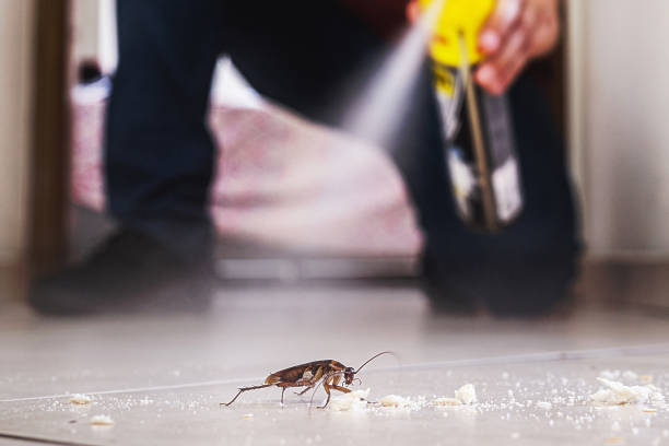 Best Best Pest Control Near Me  in West Perrine, FL