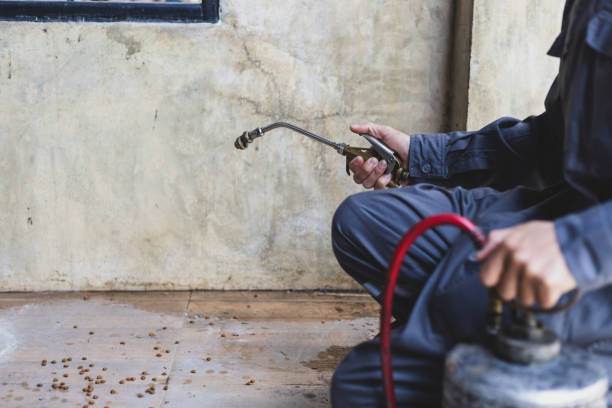 Best Mosquito Control Services  in West Perrine, FL